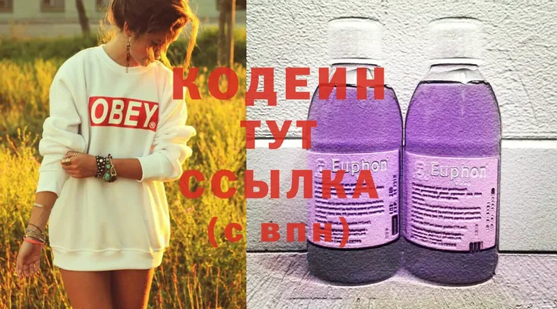 mega как войти  Новосиль  Кодеин Purple Drank 